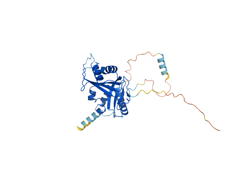 AlphaFold predicted structure of TAN1