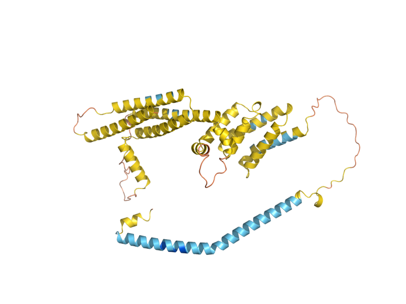 AlphaFold predicted structure of COG1