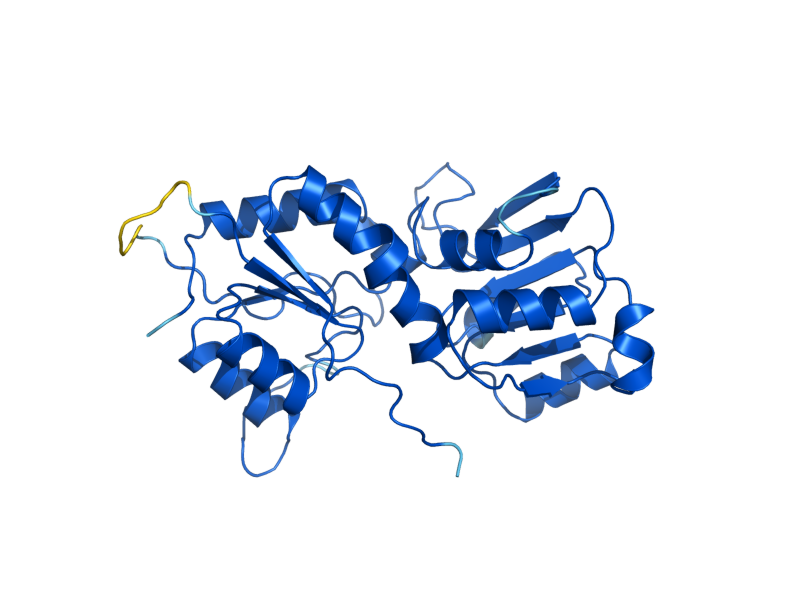 AlphaFold predicted structure of NIF3