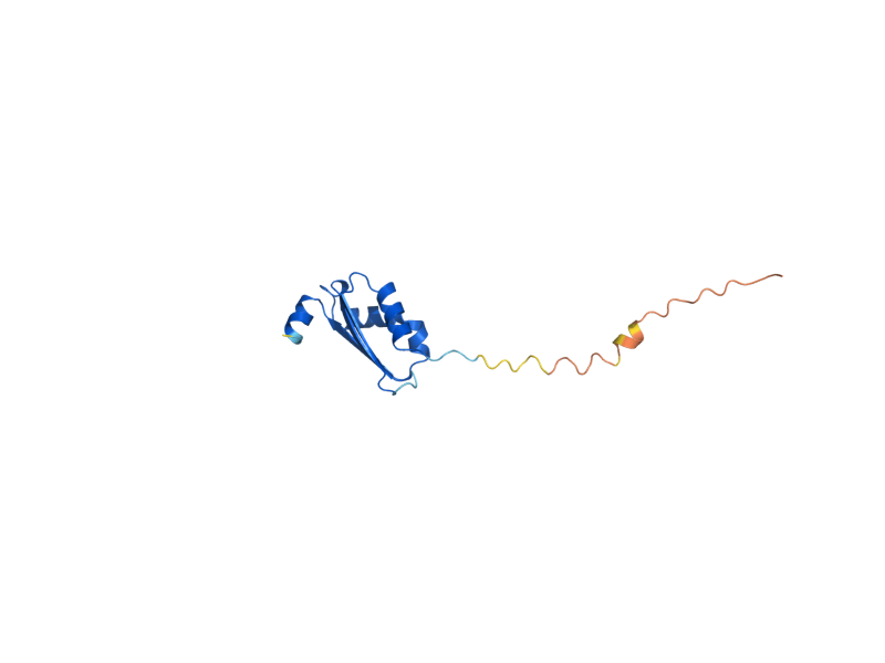AlphaFold predicted structure of BOL2