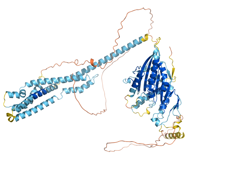 AlphaFold predicted structure of KIP3