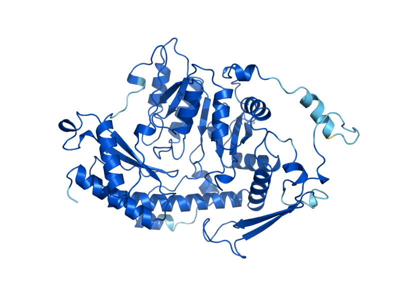 AlphaFold predicted structure of ARO8