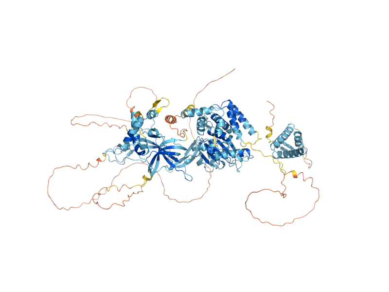 AlphaFold predicted structure of MCM6