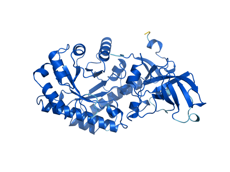AlphaFold predicted structure of DSD1