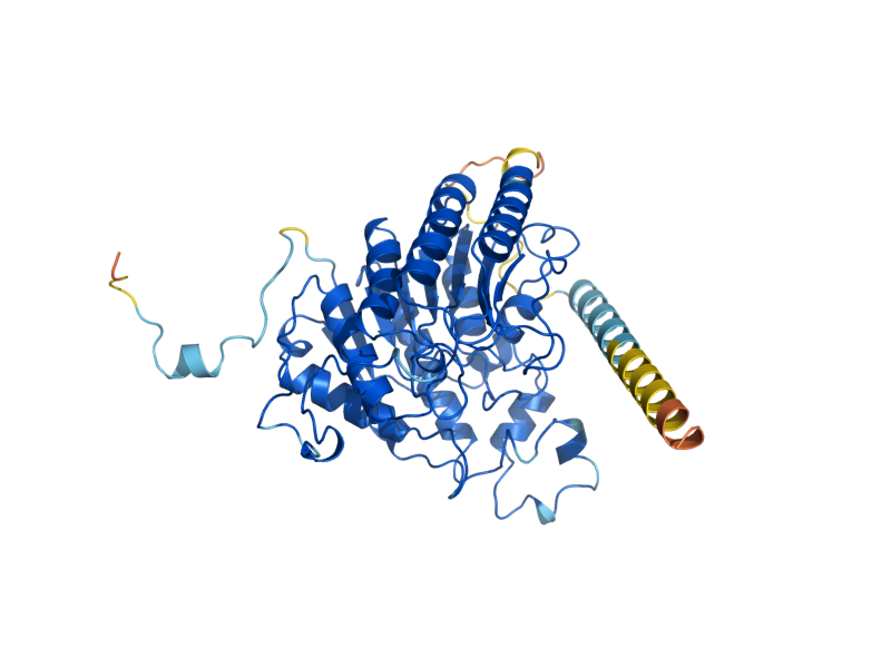 AlphaFold predicted structure of HOS2