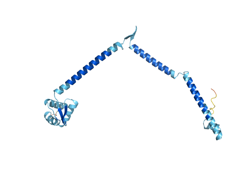 AlphaFold predicted structure of MND1
