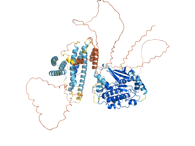 AlphaFold predicted structure of ATG1