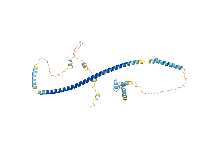 AlphaFold predicted structure of PEX14