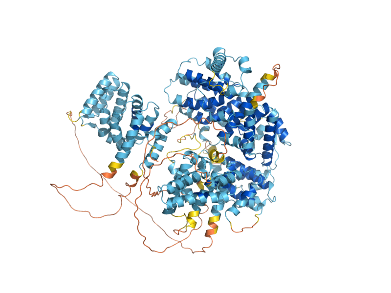 AlphaFold predicted structure of NUT1