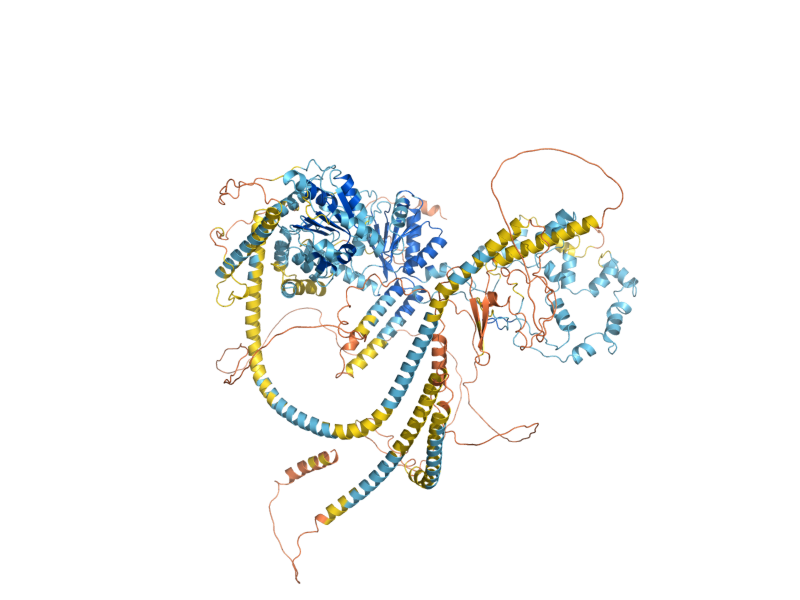 AlphaFold predicted structure of INO80