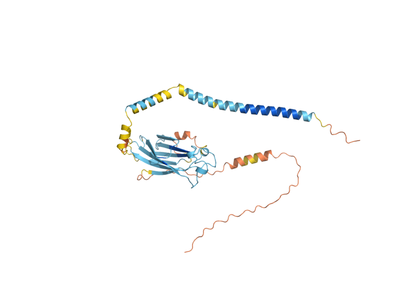 AlphaFold predicted structure of RRT6