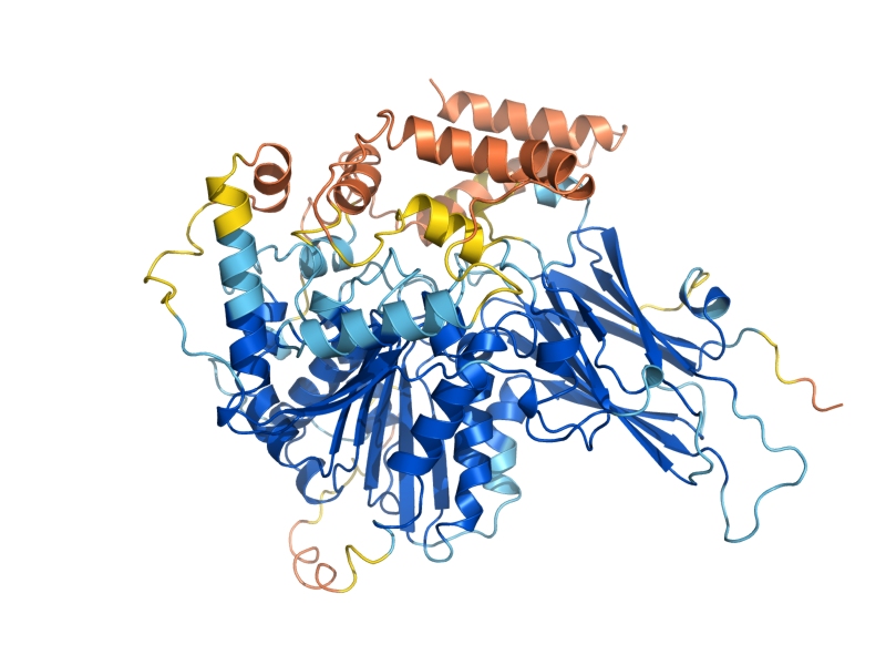 AlphaFold predicted structure of ROG1