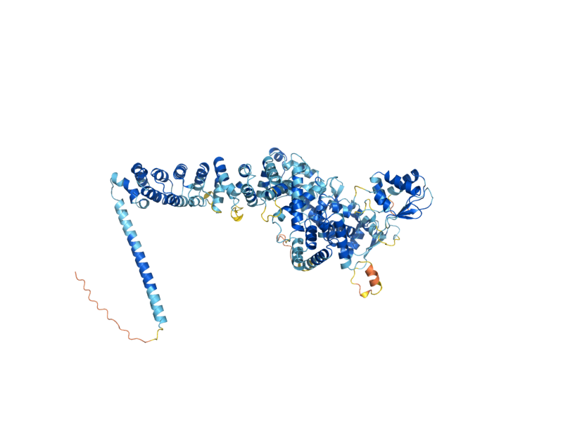 AlphaFold predicted structure of HUL5
