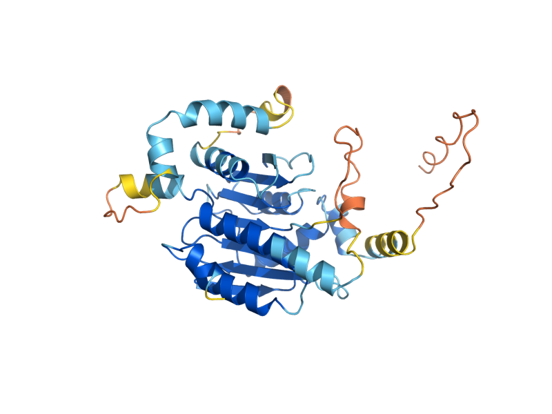 AlphaFold predicted structure of MRM2