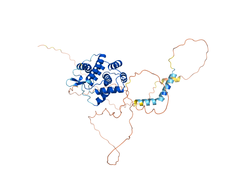 AlphaFold predicted structure of PCL10