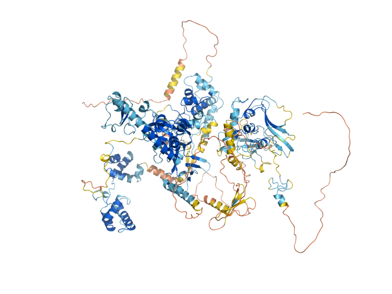 AlphaFold predicted structure of SNT2