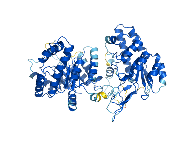 AlphaFold predicted structure of MET13