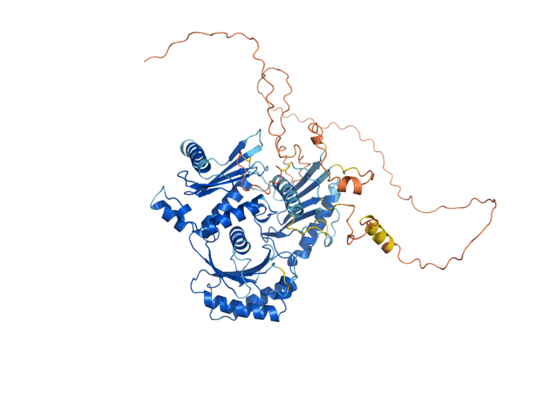 AlphaFold predicted structure of MON1