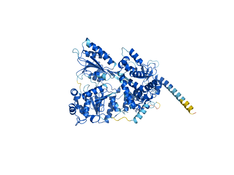 AlphaFold predicted structure of PRP43