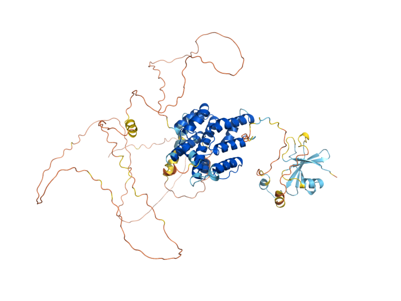 AlphaFold predicted structure of SLD3