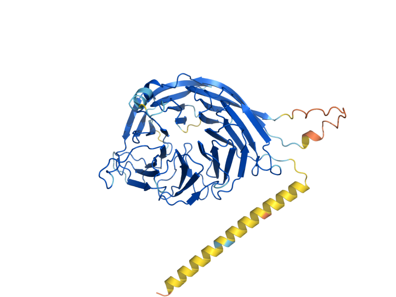 AlphaFold predicted structure of NSA1