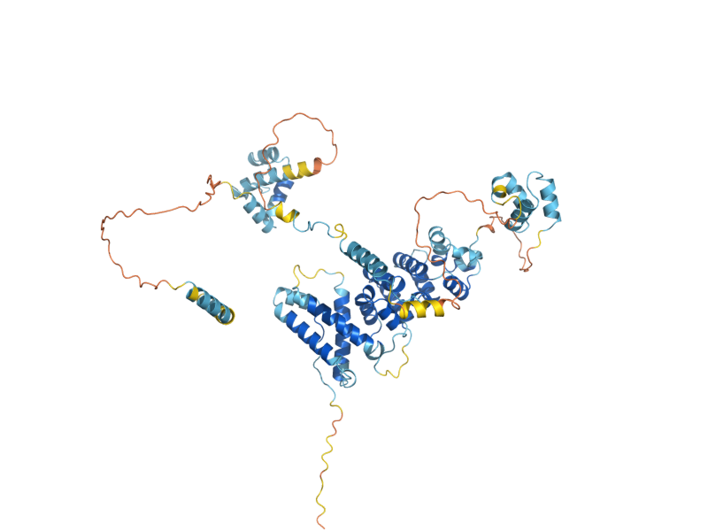 AlphaFold predicted structure of CUE3