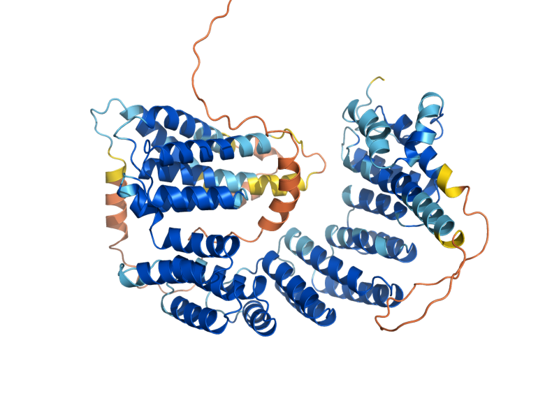 AlphaFold predicted structure of RMD9