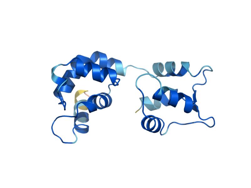 AlphaFold predicted structure of MLC1