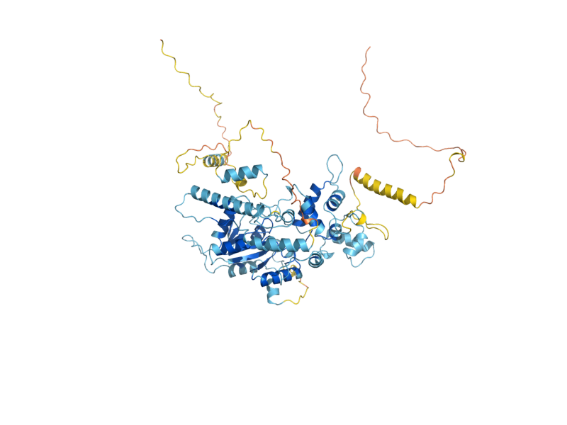 AlphaFold predicted structure of LSG1
