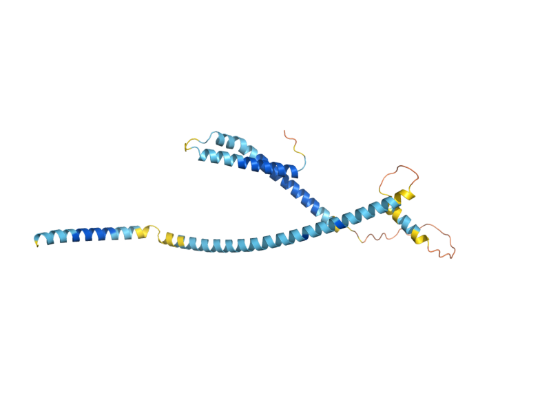 AlphaFold predicted structure of USE1