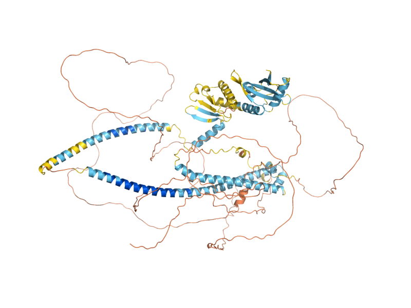 AlphaFold predicted structure of SPC105
