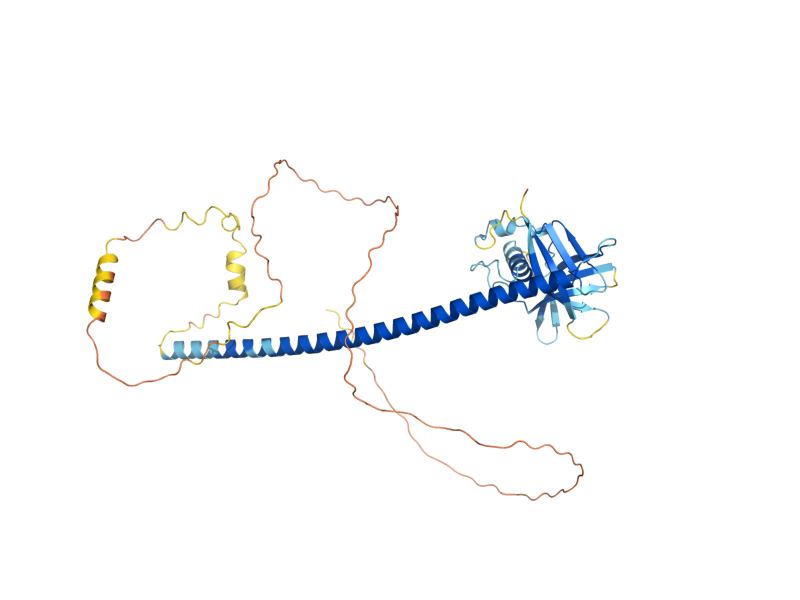 AlphaFold predicted structure of LIF1