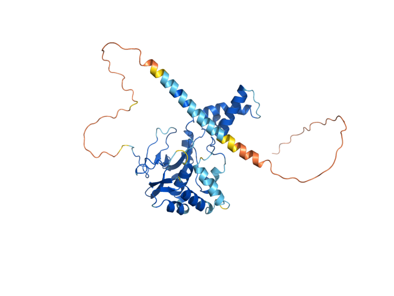 AlphaFold predicted structure of MIY3