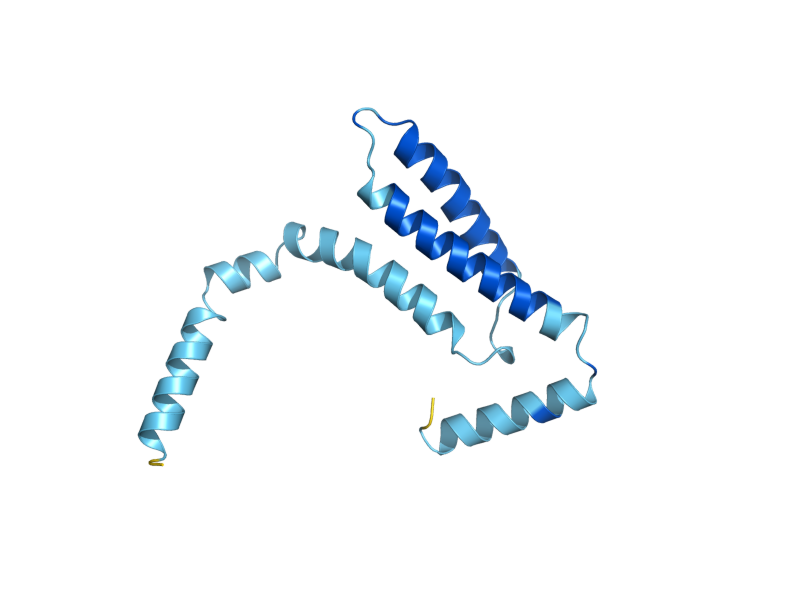 AlphaFold predicted structure of MPC1