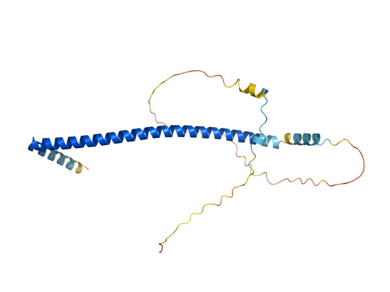 AlphaFold predicted structure of KXD1