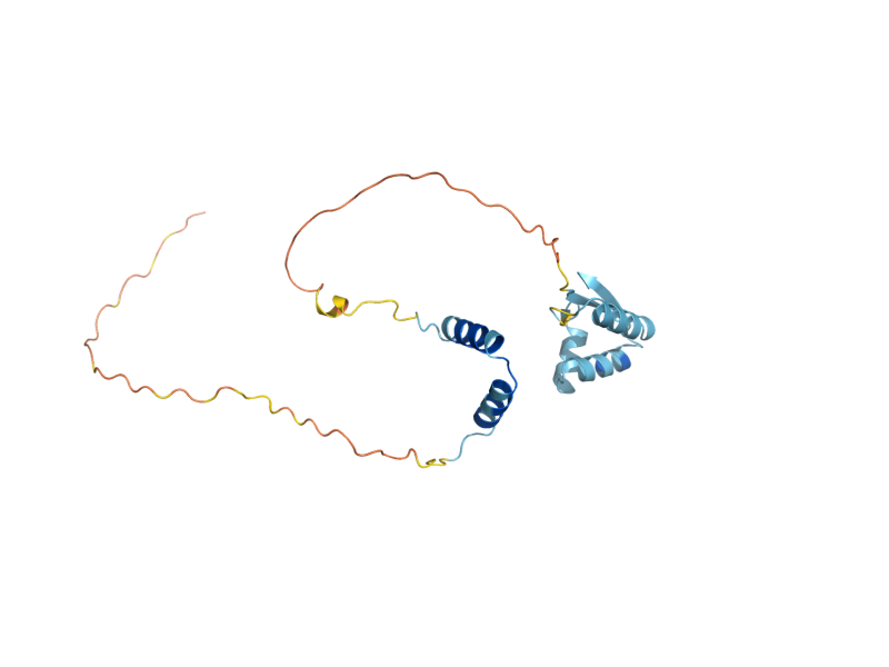 AlphaFold predicted structure of MNP1