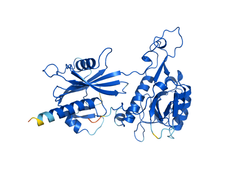 AlphaFold predicted structure of NPY1