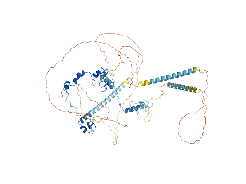 AlphaFold predicted structure of SGF73