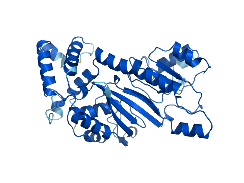 AlphaFold predicted structure of PUS2