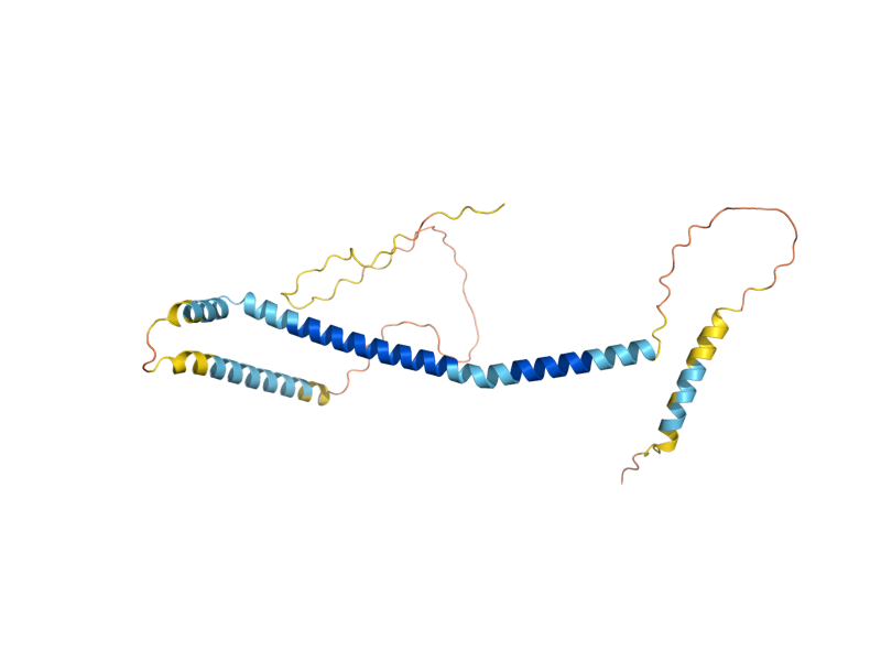 AlphaFold predicted structure of DUO1
