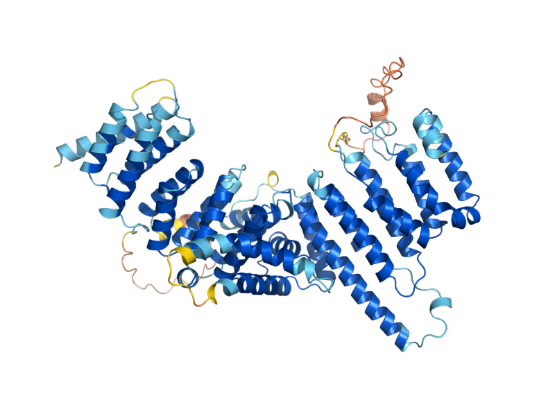 AlphaFold predicted structure of YBP2