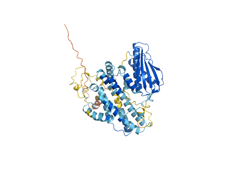 AlphaFold predicted structure of PKP2