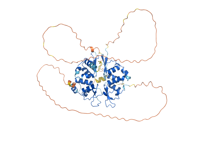 AlphaFold predicted structure of SDS23