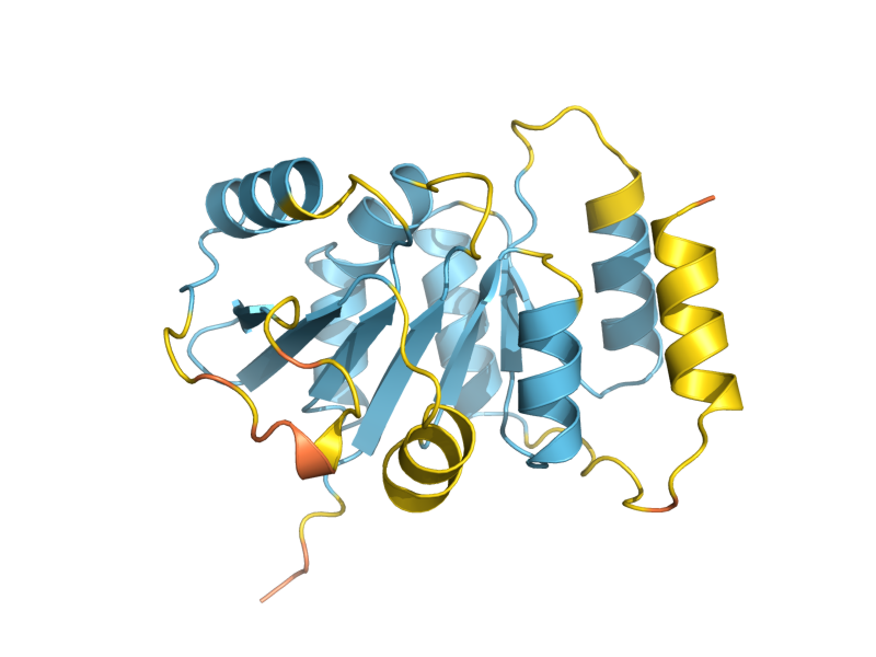 AlphaFold predicted structure of ALG13