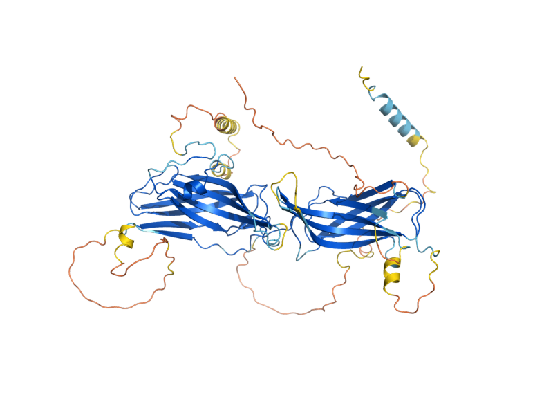 AlphaFold predicted structure of RIM8