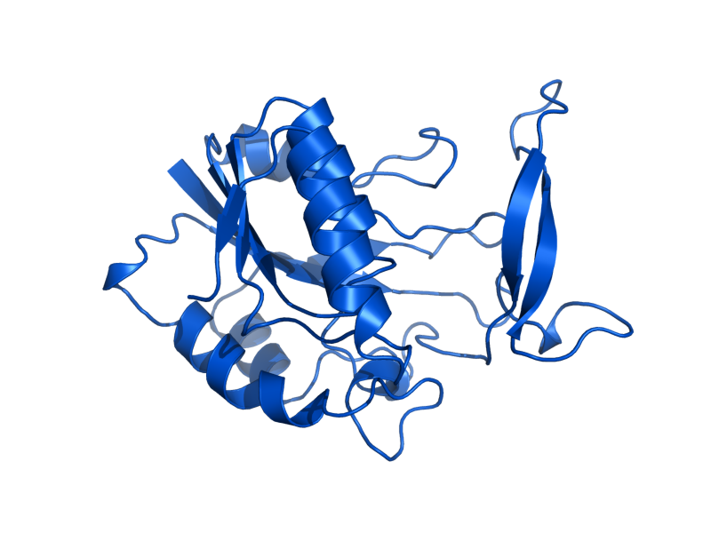 AlphaFold predicted structure of PNC1