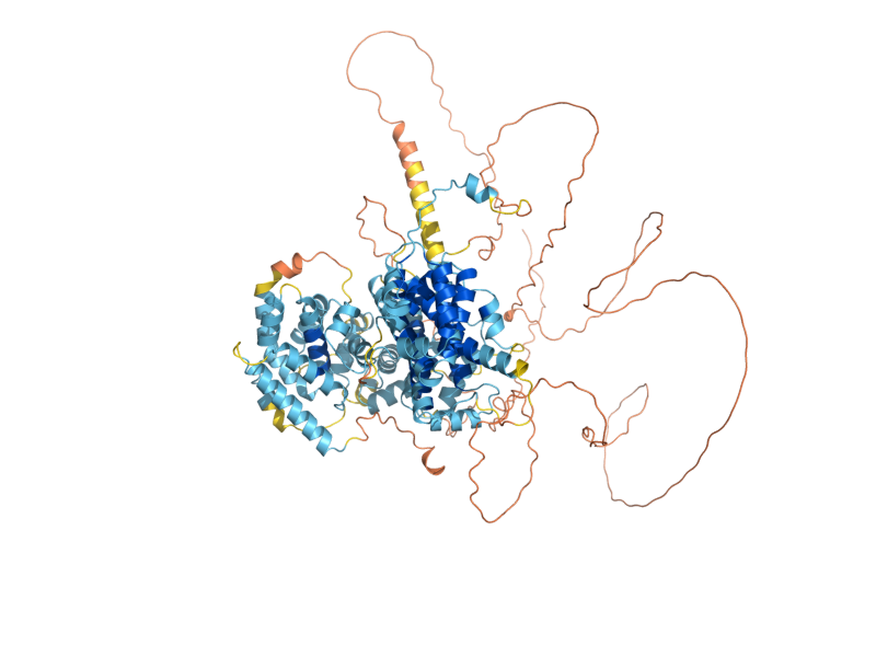 AlphaFold predicted structure of VIR1