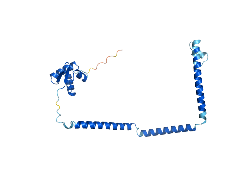AlphaFold predicted structure of HOP2