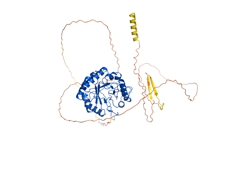 AlphaFold predicted structure of SCW11