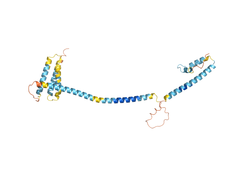 AlphaFold predicted structure of COG7